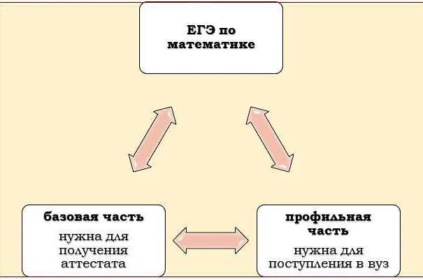 Профильная и базовая математика в школе