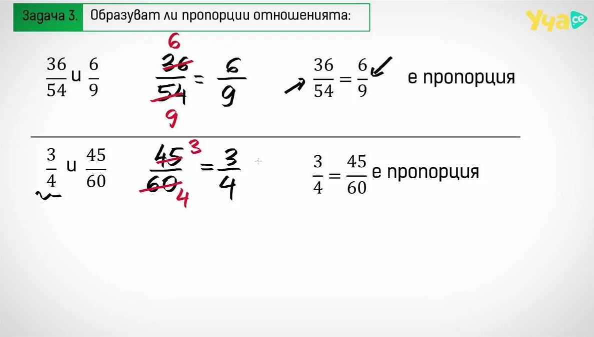 Что такое пропорция в математике 6 класс: определение и примеры