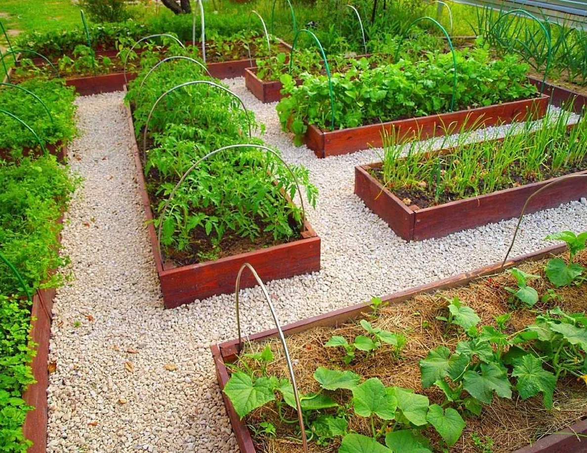 Что нужно для сада и огорода: полезные советы и рекомендации