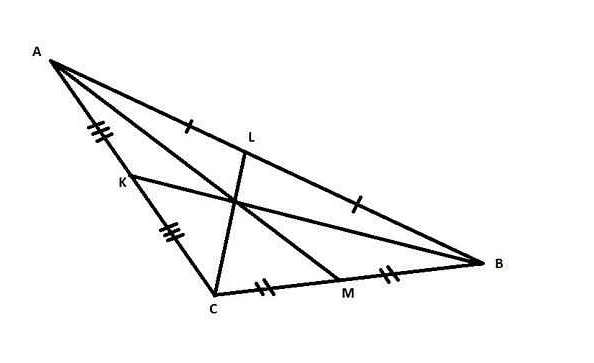 Пример диагоналей в семиугольнике