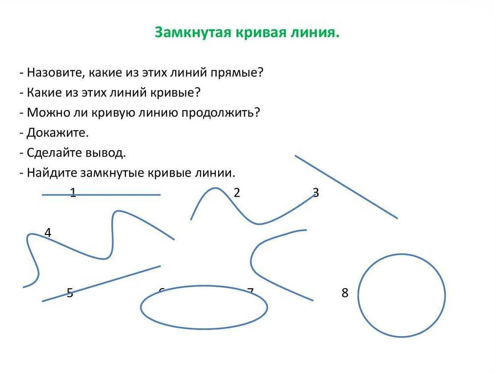 Простые кривые линии в математике