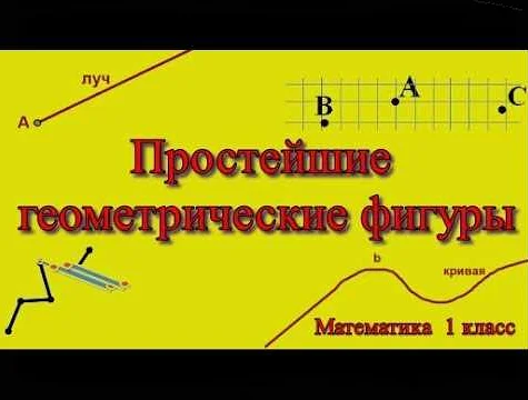 Виды кривых линий в математике