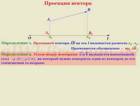 Примеры проекции в математике
