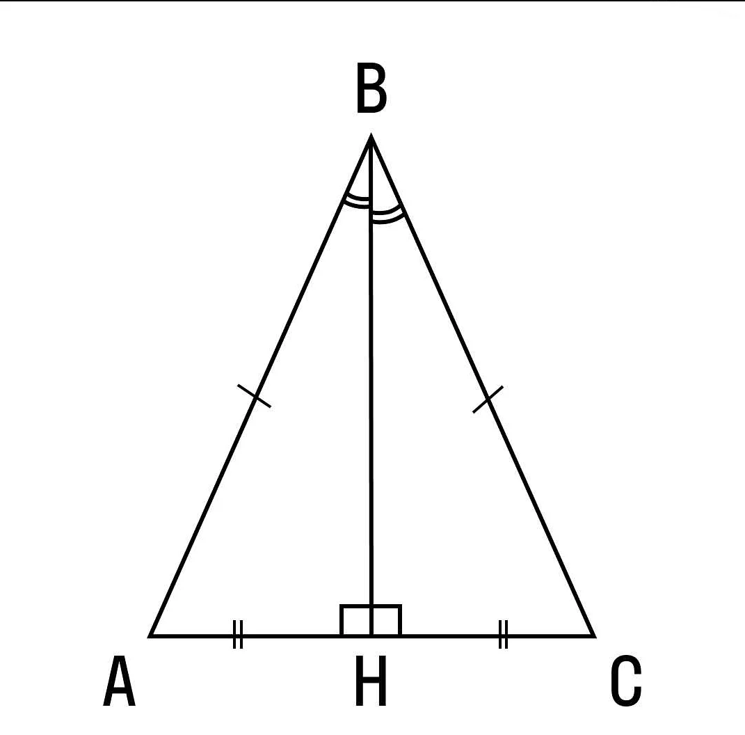 Основные понятия равнобедренного треугольника