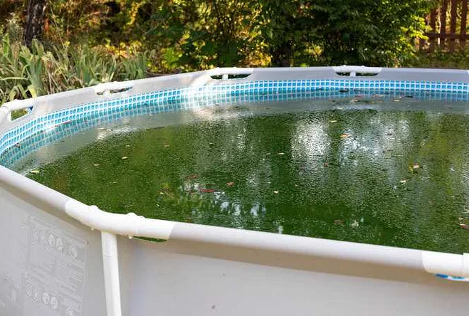 Очистка воды в каркасном бассейне: советы и рекомендации