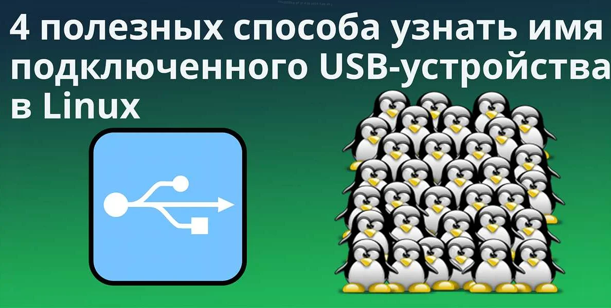 Советы по настройке подключаемых USB-устройств в Linux