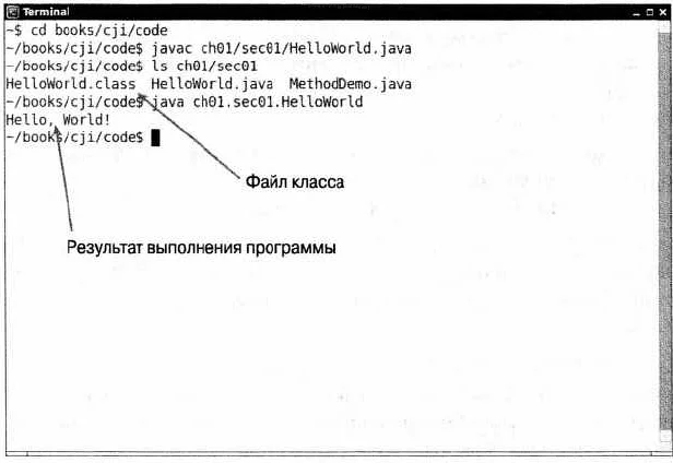 Условные операторы в Java