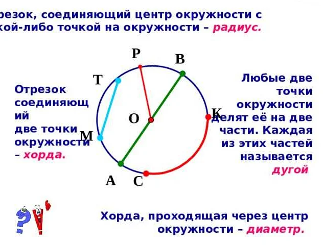 Математика 6 класс: что такое круг?