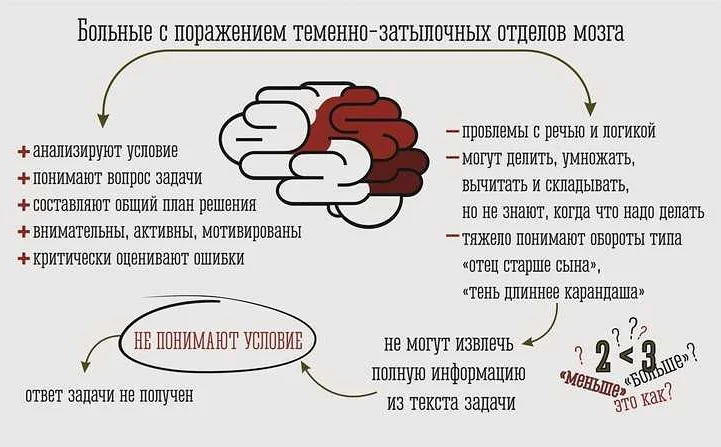 Математика - это универсальный язык