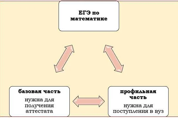 Как подготовиться к поступлению в учебное заведение по профильной математике и русскому языку?