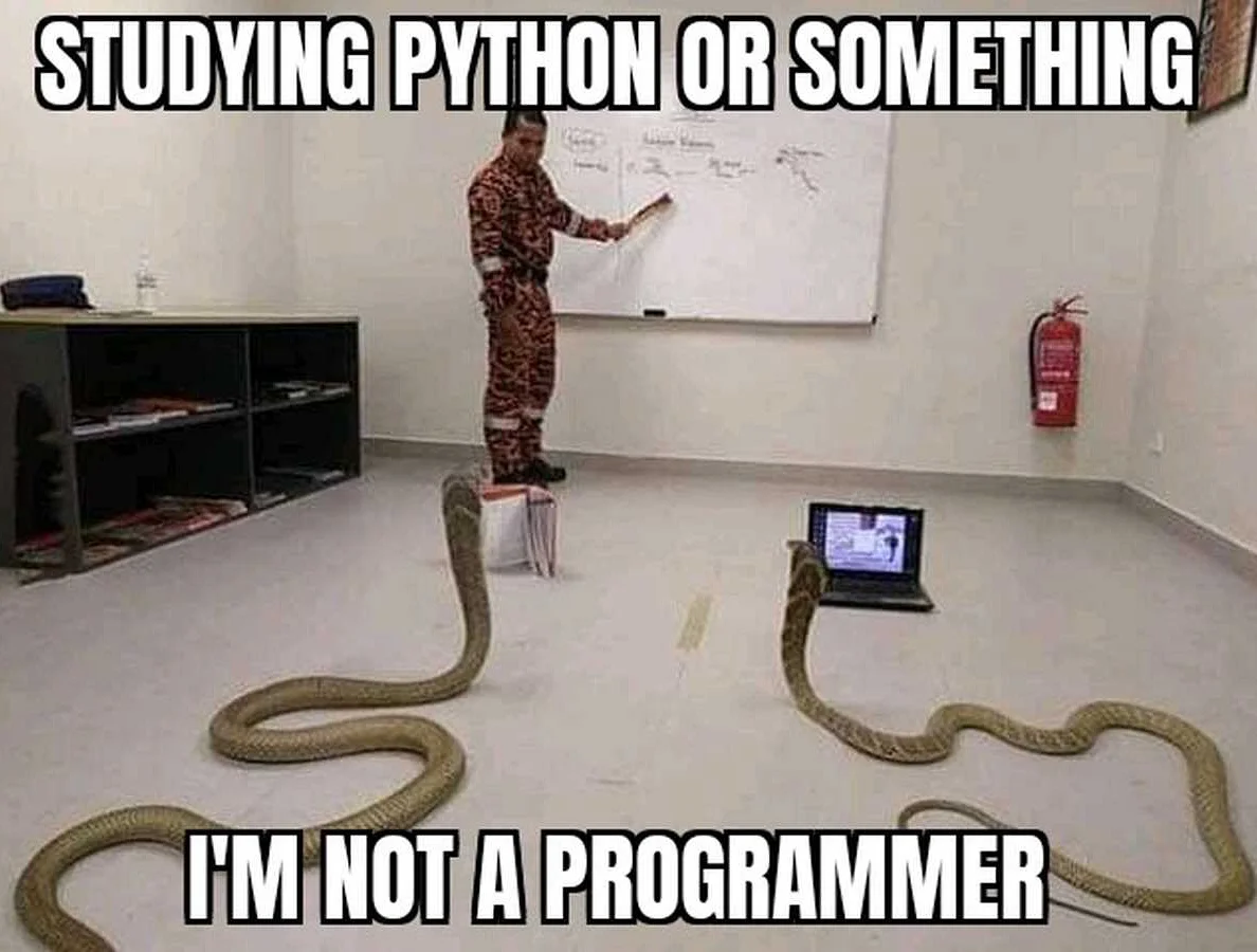  Нужно ли иметь предварительные знания перед изучением Python 
