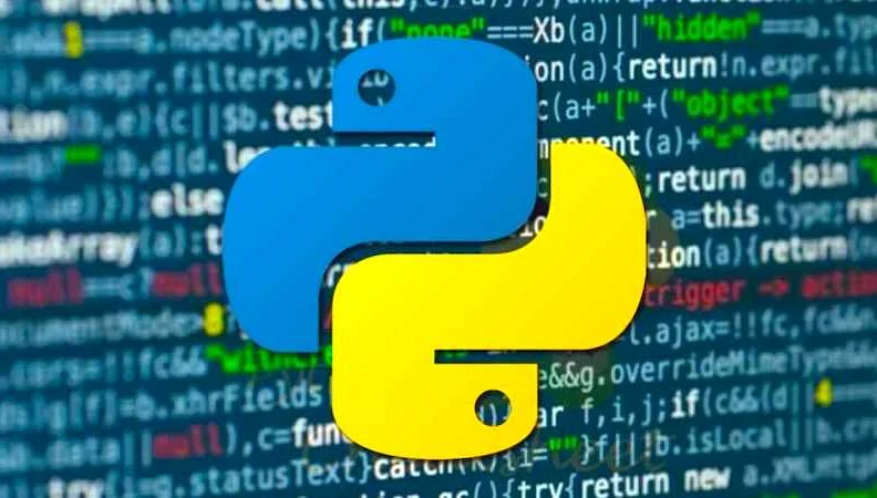 Сколько времени нужно на изучение Python: эффективные способы для начинающих